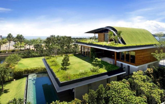 Trồng cây chống nóng mái tôn